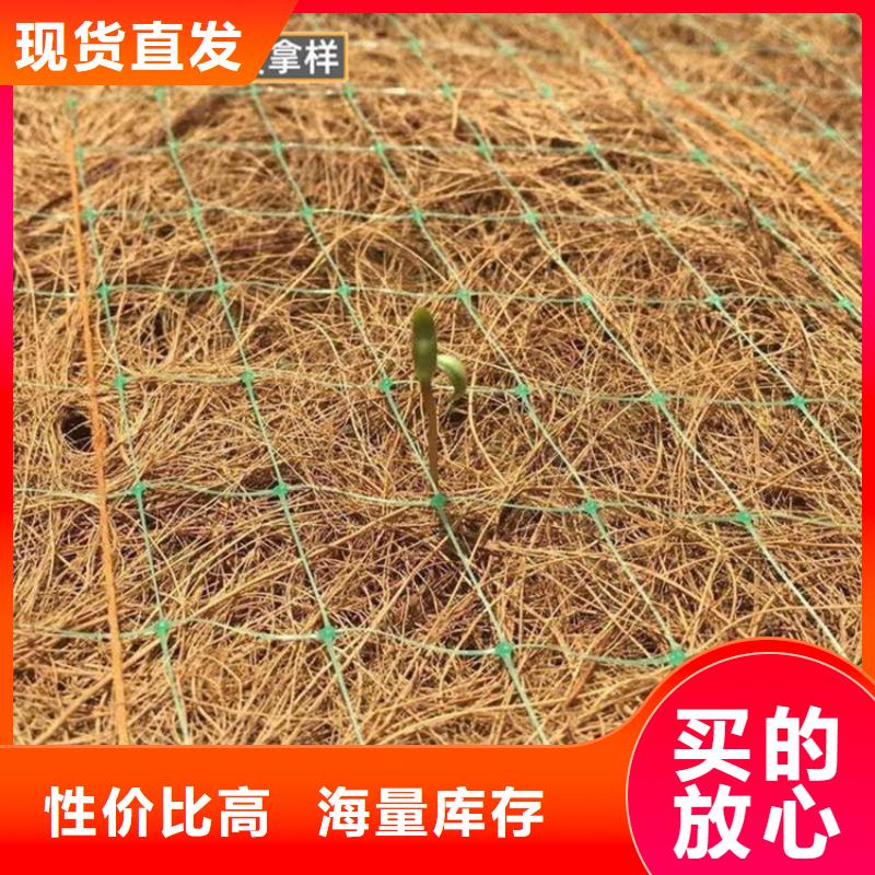 海南临高县椰丝纤维毯植生毯土工格栅