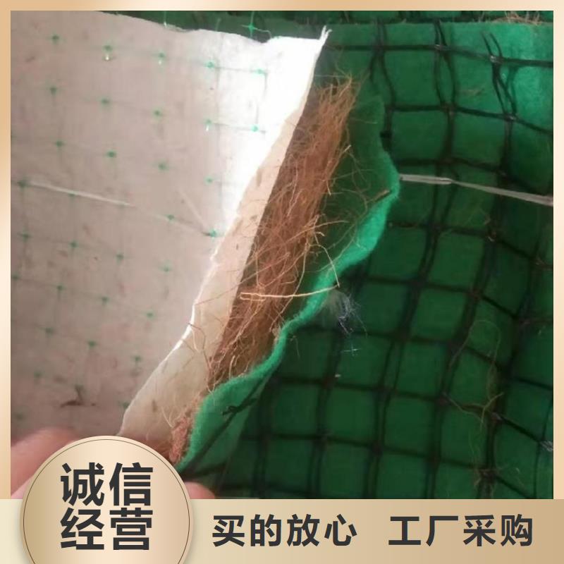 香港附近加筋复合植生毯厂家批发
