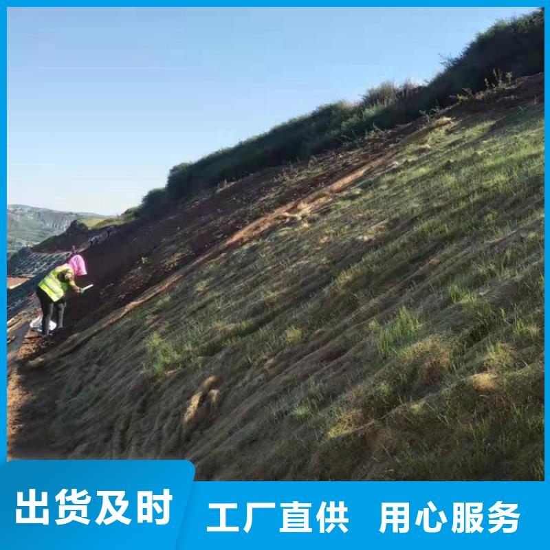 水保抗冲生物毯护坡生态草毯