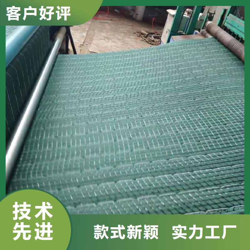 水保抗冲生物毯型号规格_[合作市]鼎诺土工材料有限公司