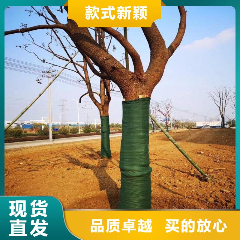 《香港》订购保湿带绿色缠树无纺布