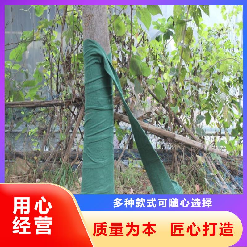 【香港】品质大树缠树布大树缠树布