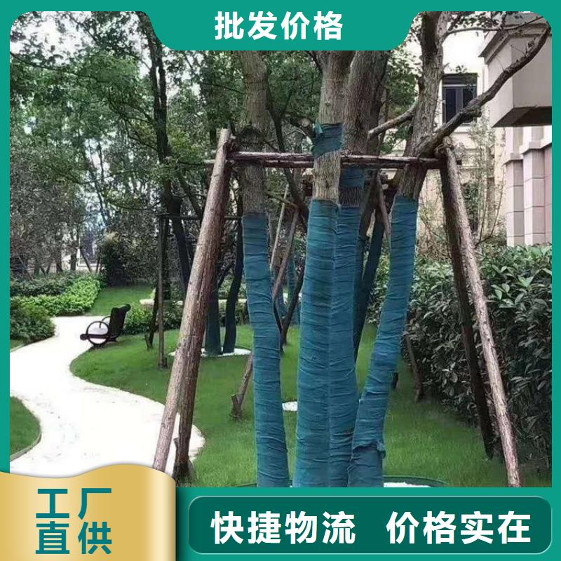 裹树布土工格栅敢与同行比质量