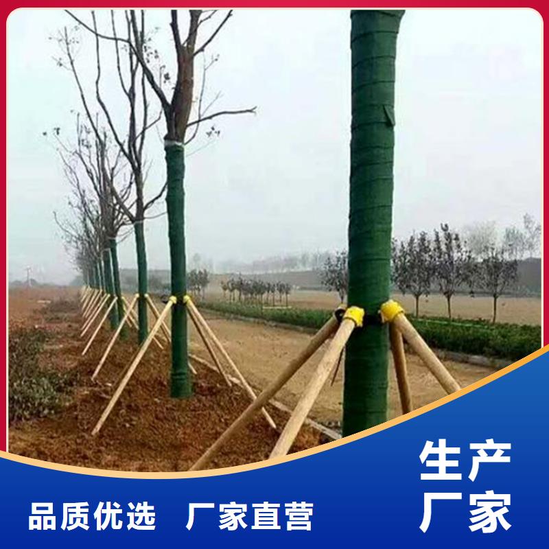 台湾本土省缠树布资讯