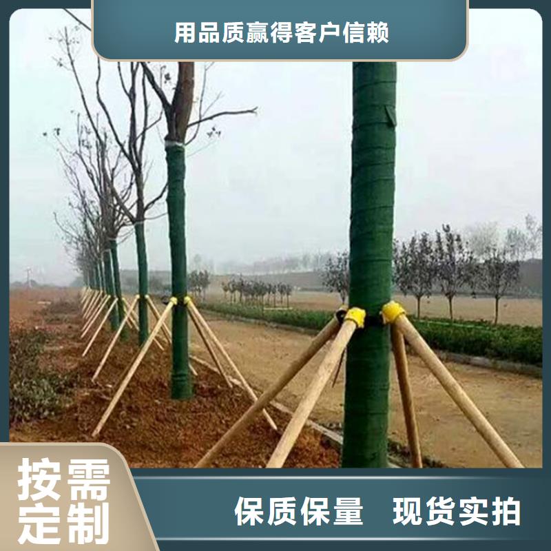 定制[鼎诺]裹树布HDPE土工膜厂家现货供应