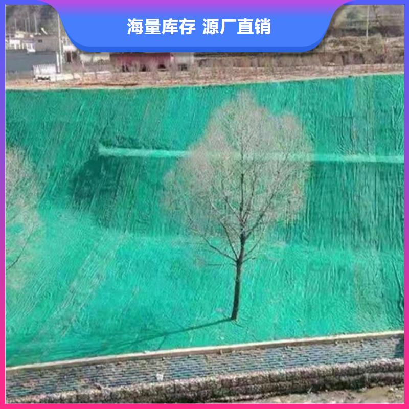 生态植物防护毯水保抗冲生物毯