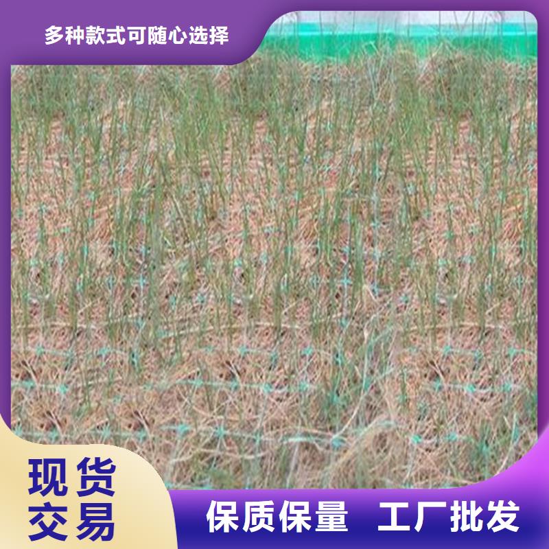 生态植物防护毯铁路植生毯