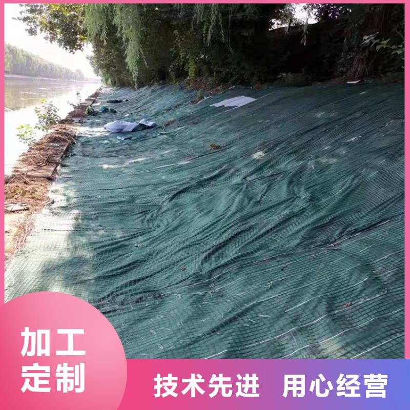 铁路植生毯