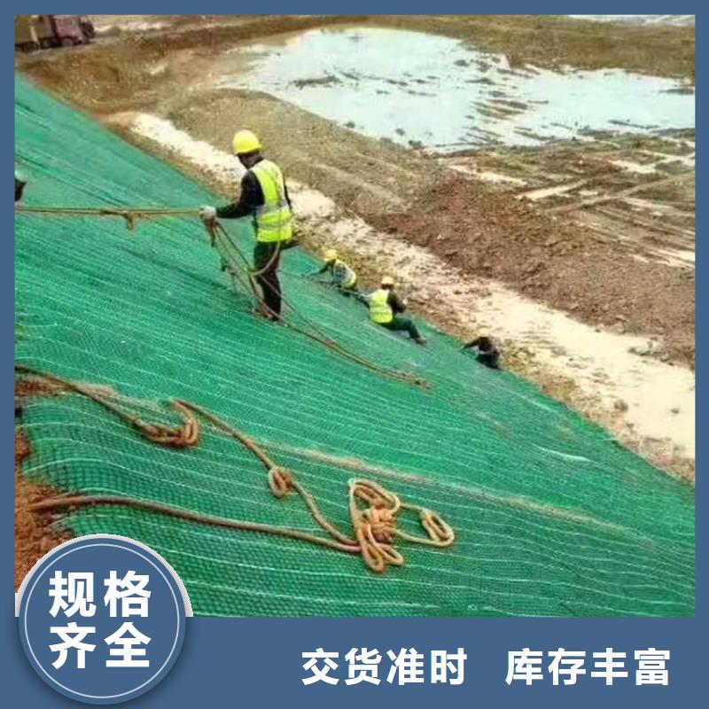 椰丝植生毯质优价廉