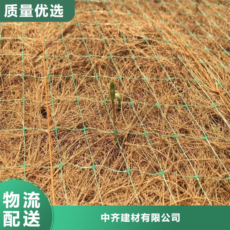 椰丝植生毯水保抗冲生物毯