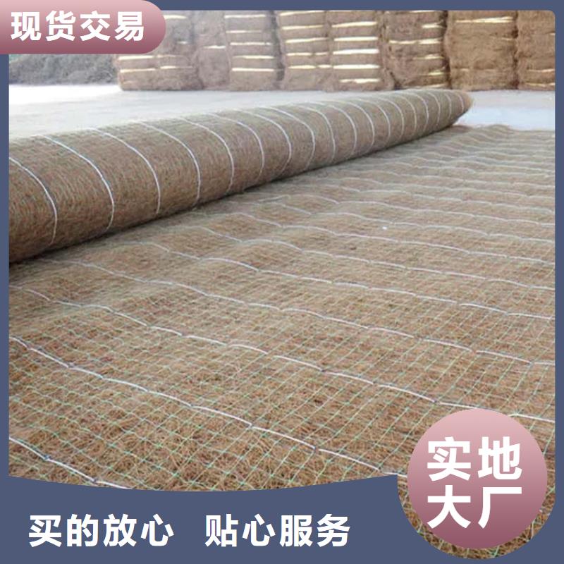 一手价格中齐护坡生态草毯椰丝植被纤维毯- 本地 供应商