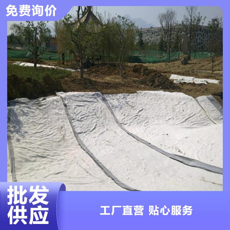 产地采购【中齐】膨润土防水毯HDPE土工膜厂家直销值得选择