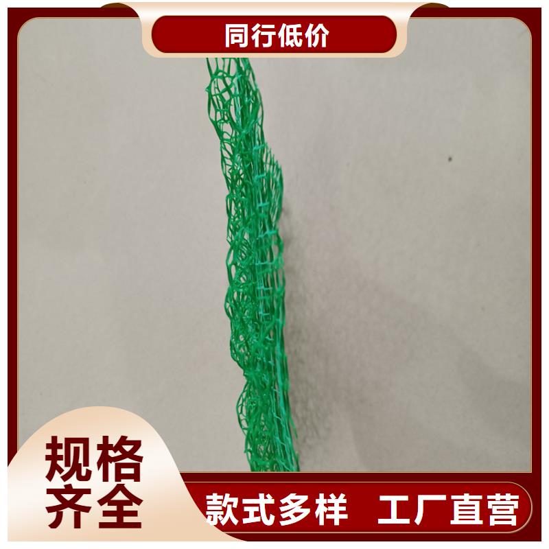 三维植被网-土工膜优良工艺