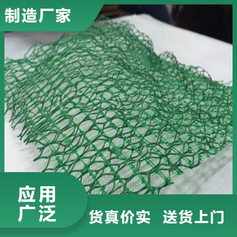 塑料护坡三维植被网