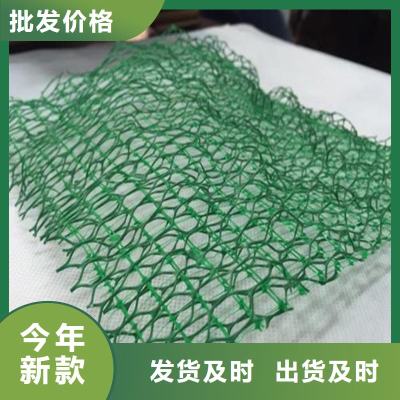 加筋绿化三维土工网垫