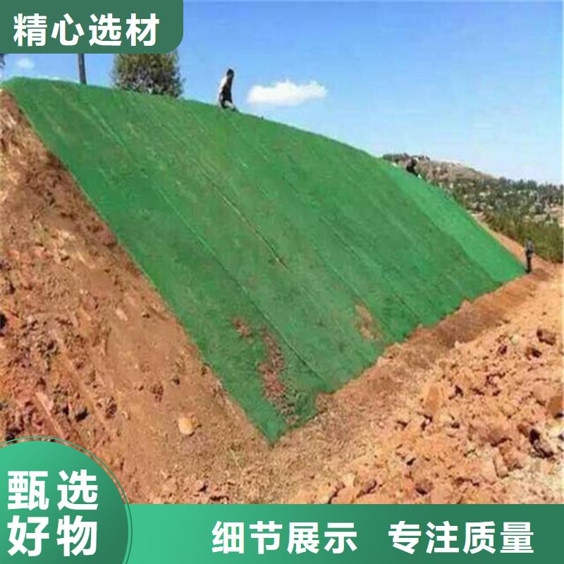 EM3绿化三维土工网垫