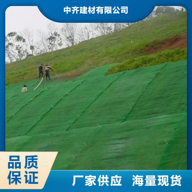 环保塑料三维固土网垫