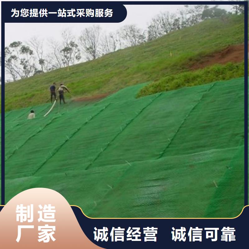 【中齐】EM2EM4三维固土网垫-中齐建材有限公司