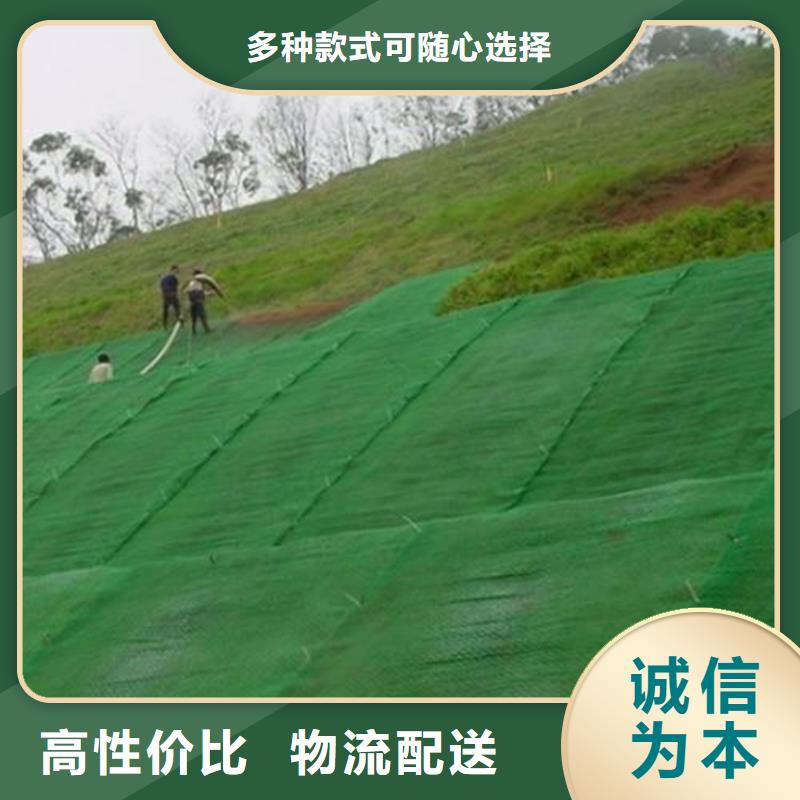 加筋绿化三维土工网垫