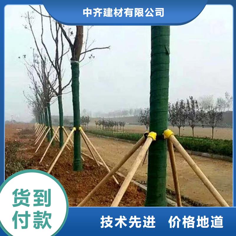 树木养护带缠树带