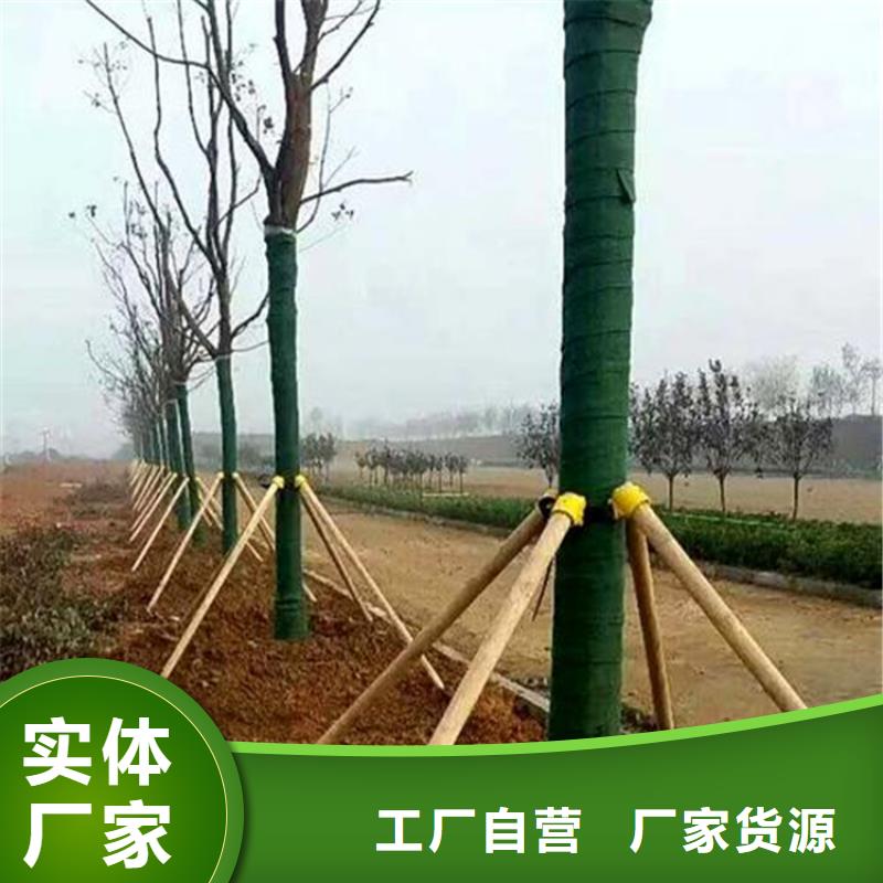 《安徽》[当地]【中齐】包树布保湿带_行业案例