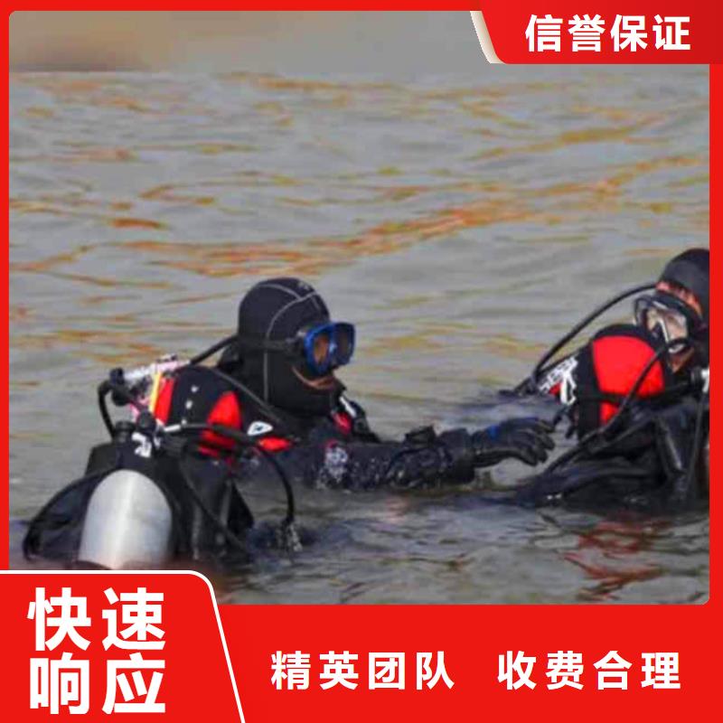 珠海南水镇污水厂水中堵漏零售浪淘沙水工