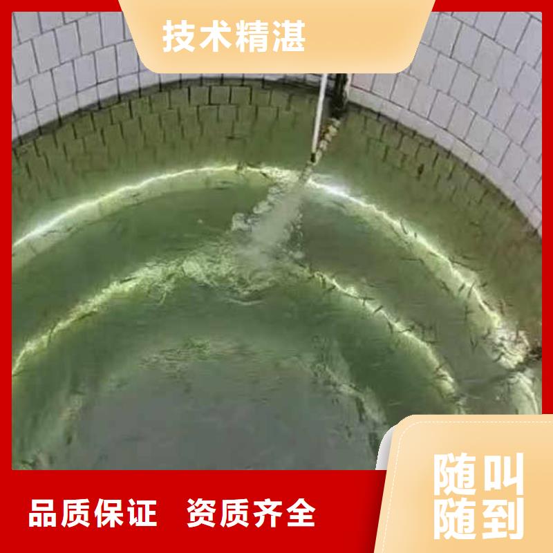 首选:赤壁水下拆除砖头墙水泥墙<赤壁本地队伍>-欢迎来电