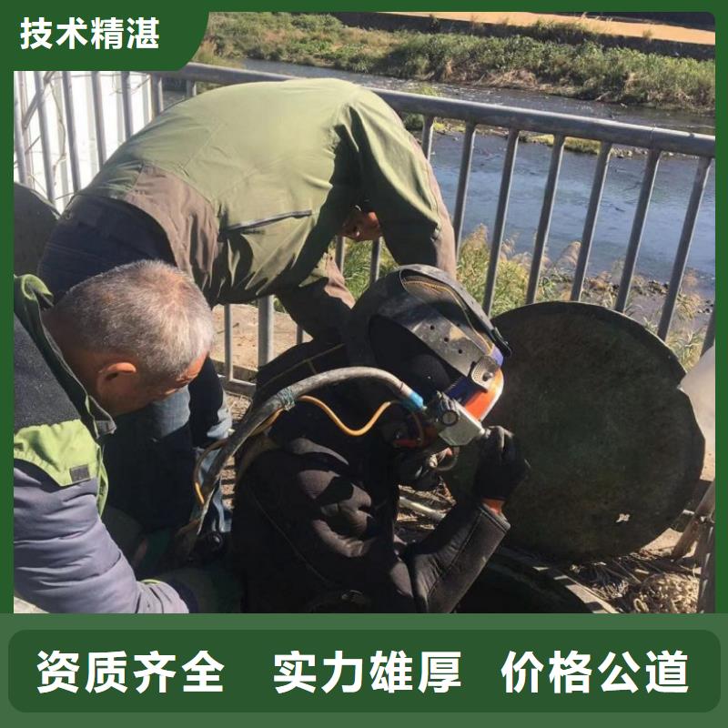 水下拍摄欢迎下单