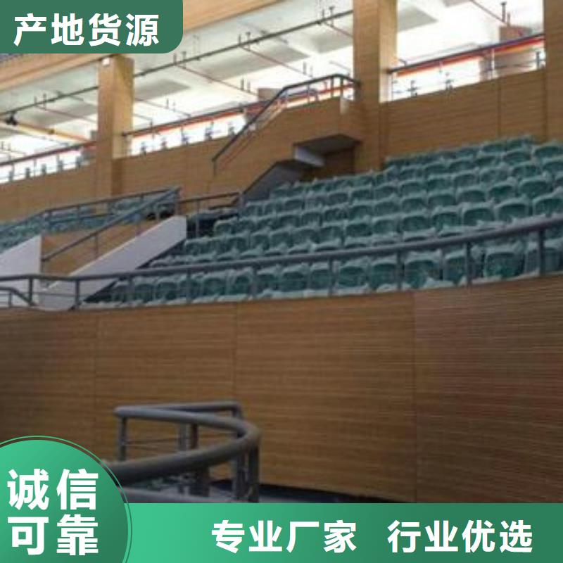 陕西省榆林当地市横山区公司体育馆吸音改造价格--2022最近方案/价格