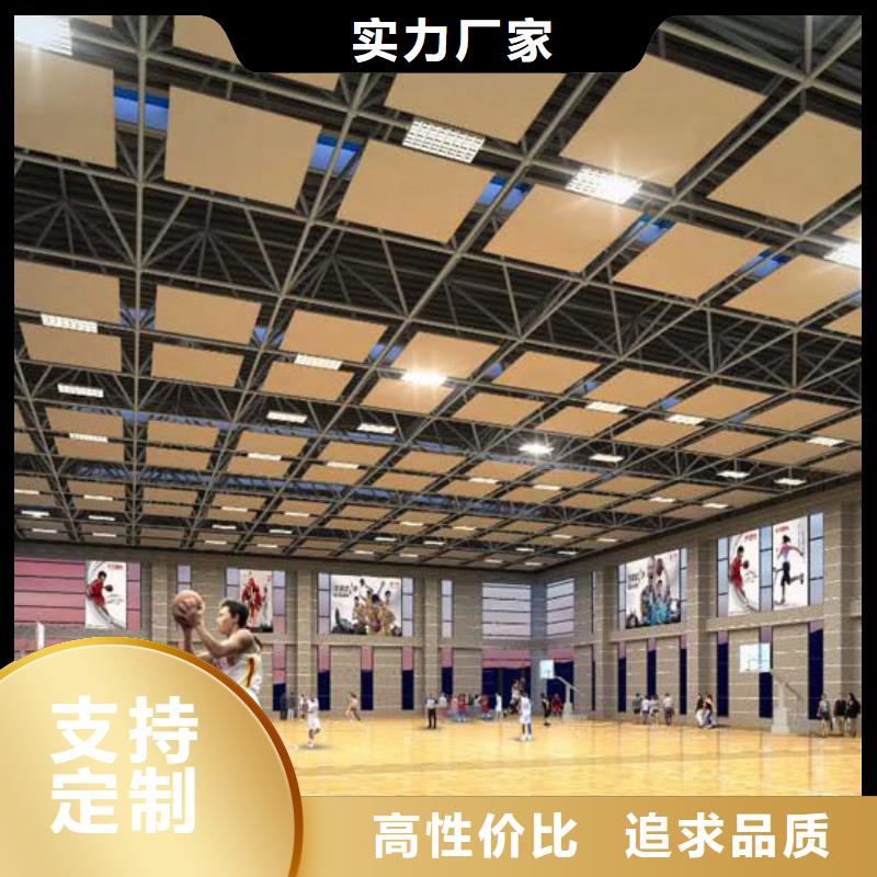 江西省采购凯音比赛体育馆声学改造