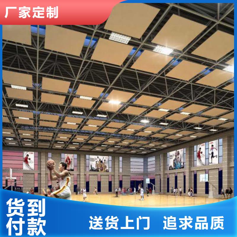 柞水县体育馆声学设计改造公司公司--2024最近方案/价格