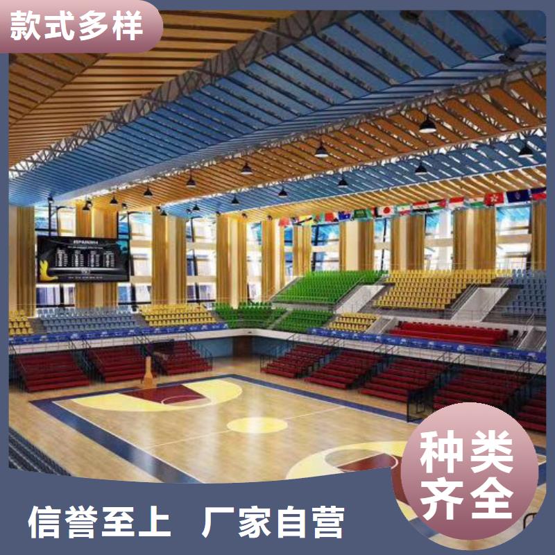 简阳市专业体育馆吸音改造方案--2024最近方案/价格