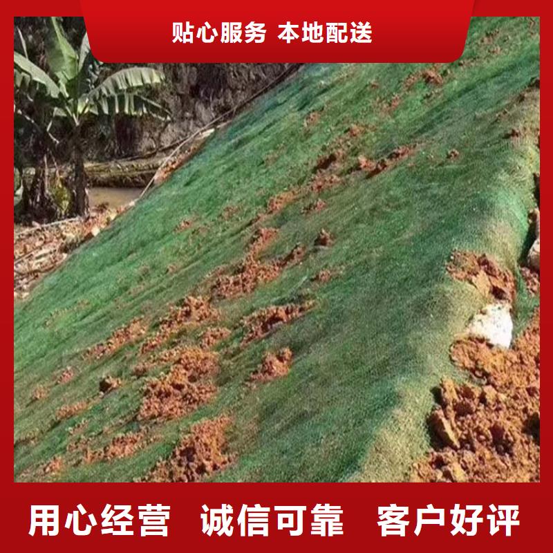 三维植被网【仿钢塑钢纤维】品质有保障