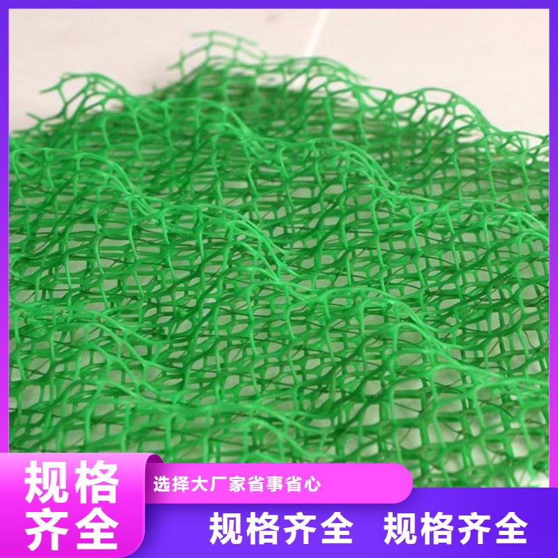 (永州市道县区) 《金鸿耀》塑料三维土工网垫品质甄选_新闻中心