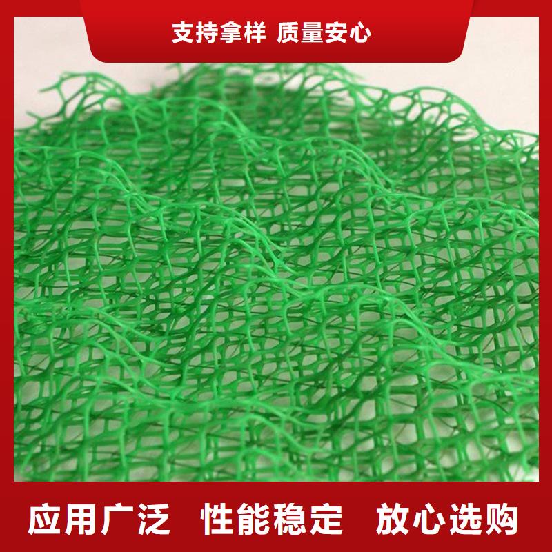 同城【金鸿耀】塑料三维土工网垫-塑料三维土工网垫实力强