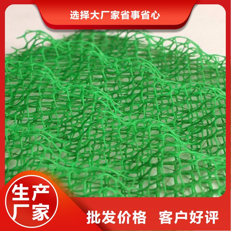 生产销售#本土《金鸿耀》塑料三维土工网垫#的厂家