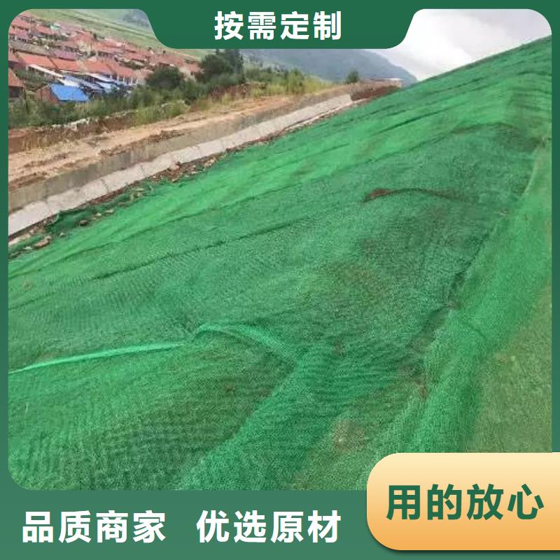 淄博本土金鸿耀供应三维植被网护坡报价的基地