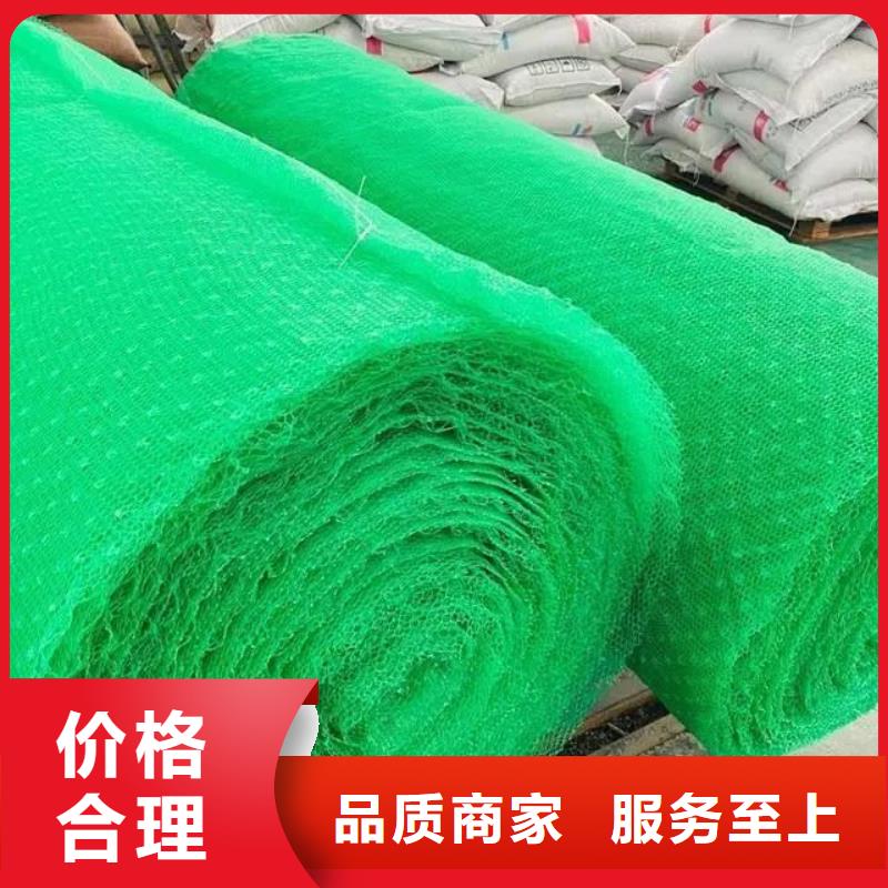 三维土工网垫生产厂家-找金鸿耀工程材料有限公司