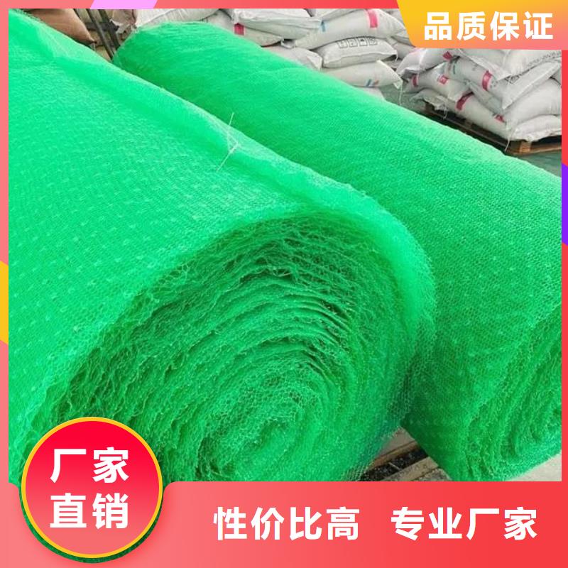 生产销售#本土《金鸿耀》塑料三维土工网垫#的厂家