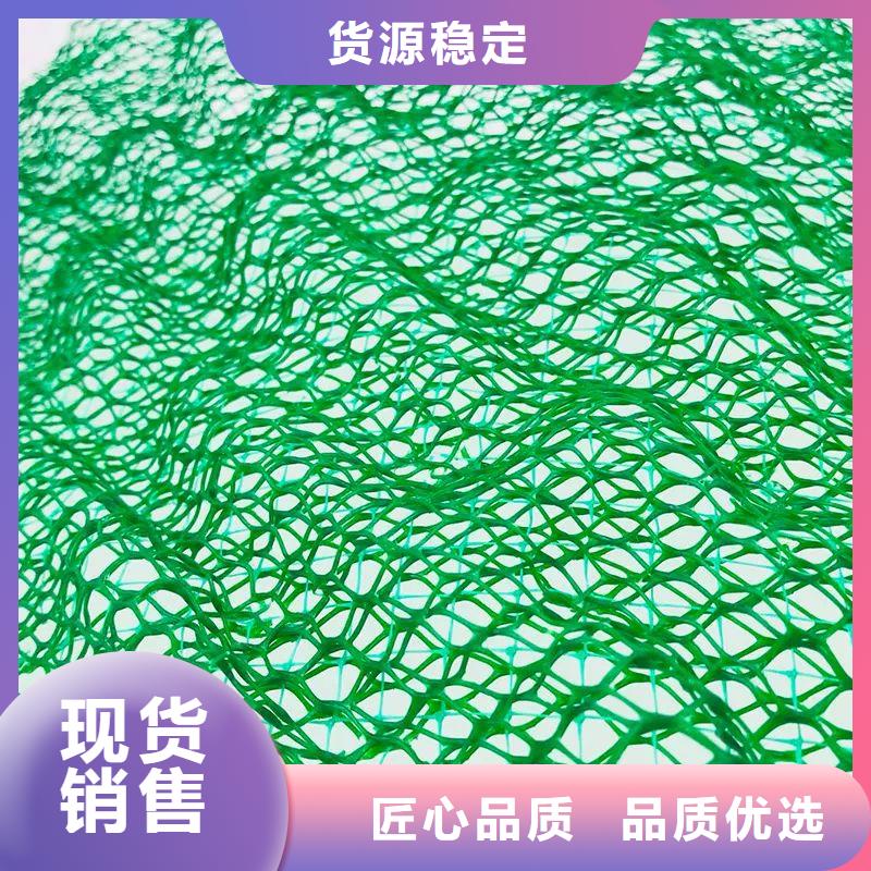 三维植被网护坡报价厂家，价廉_【县】金鸿耀工程材料有限公司