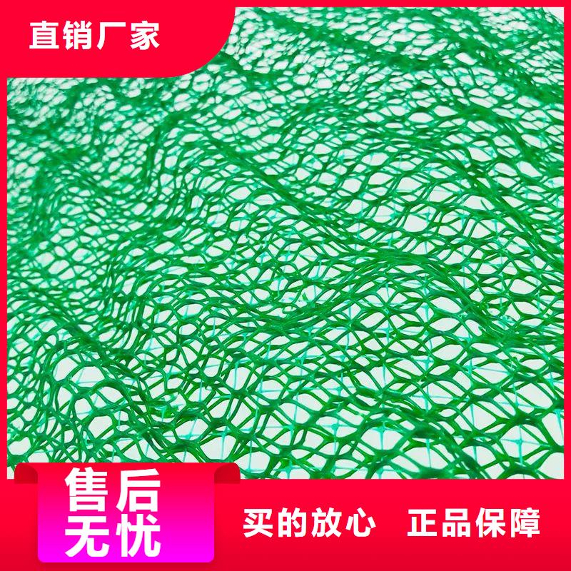 采购金鸿耀定做三维土工网垫图片的公司