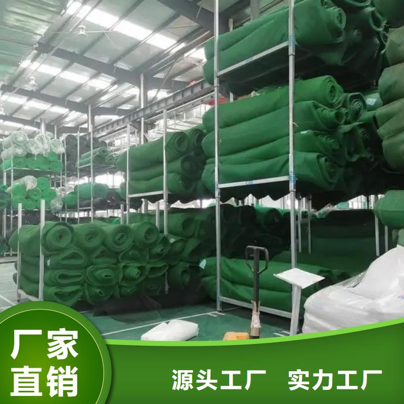 三维植被网护坡报价厂家，价廉_【县】金鸿耀工程材料有限公司
