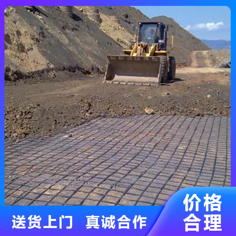 儋州市玻纤格栅规格型号现货报价