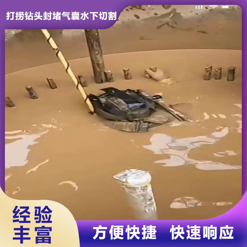 专业气囊封堵价格