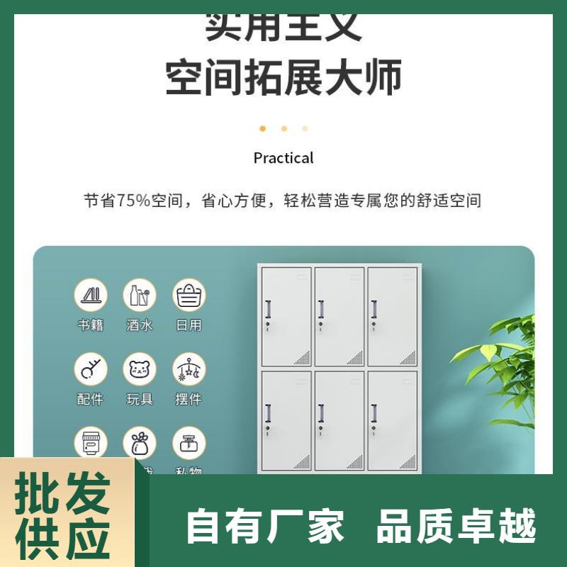 更衣柜,【资料密集柜】产品细节