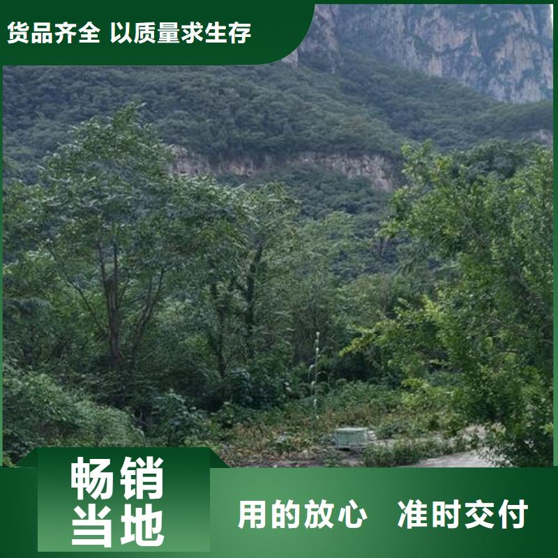 小型混凝土泵厂家