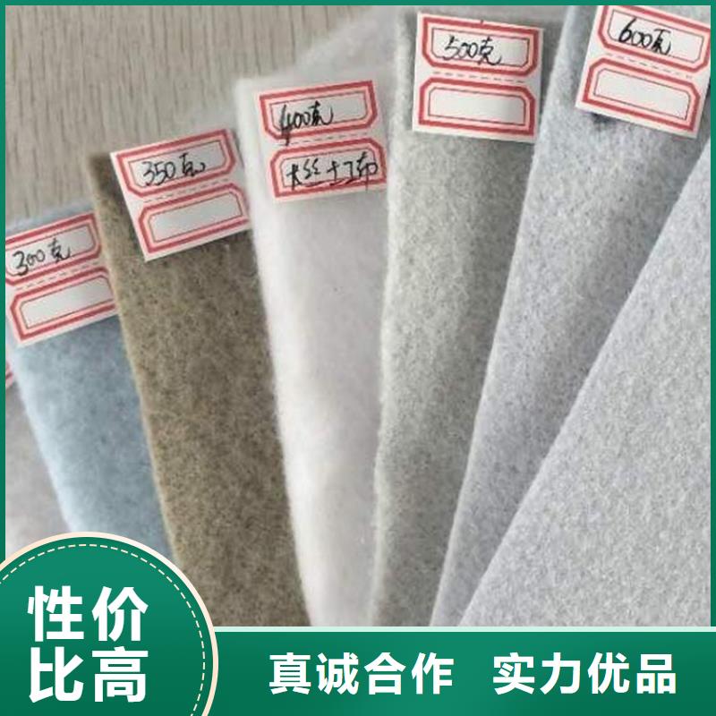 《许昌》生产边坡防护土工布