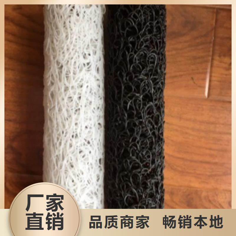 (威海)【本地】(鼎诺)塑料盲沟-DN50 80RCP渗排水盲管_产品中心