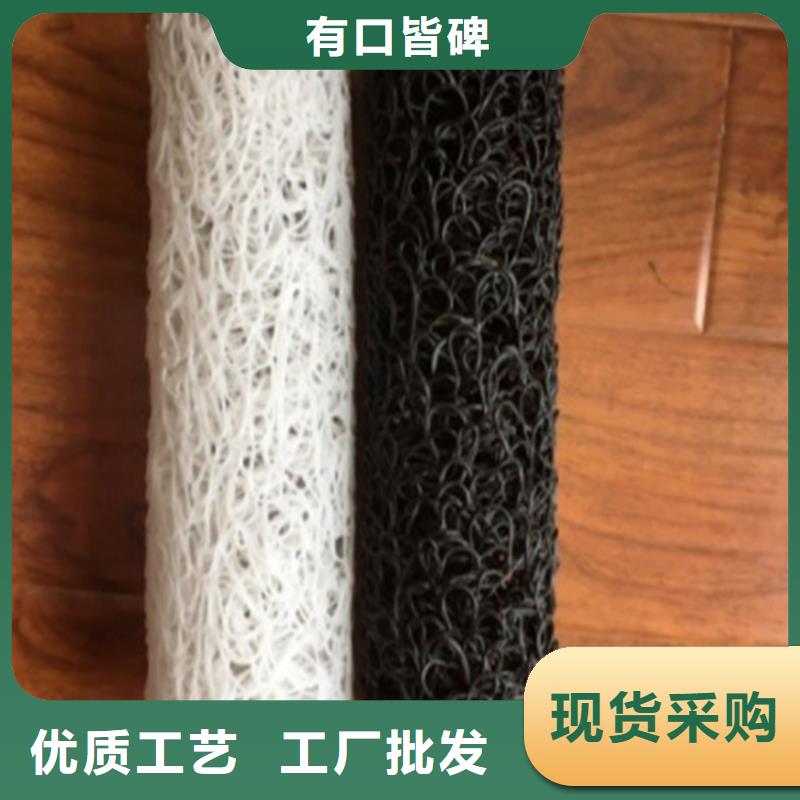 价格合理【鼎诺】塑料盲沟,膨润土防水毯厂家经验丰富