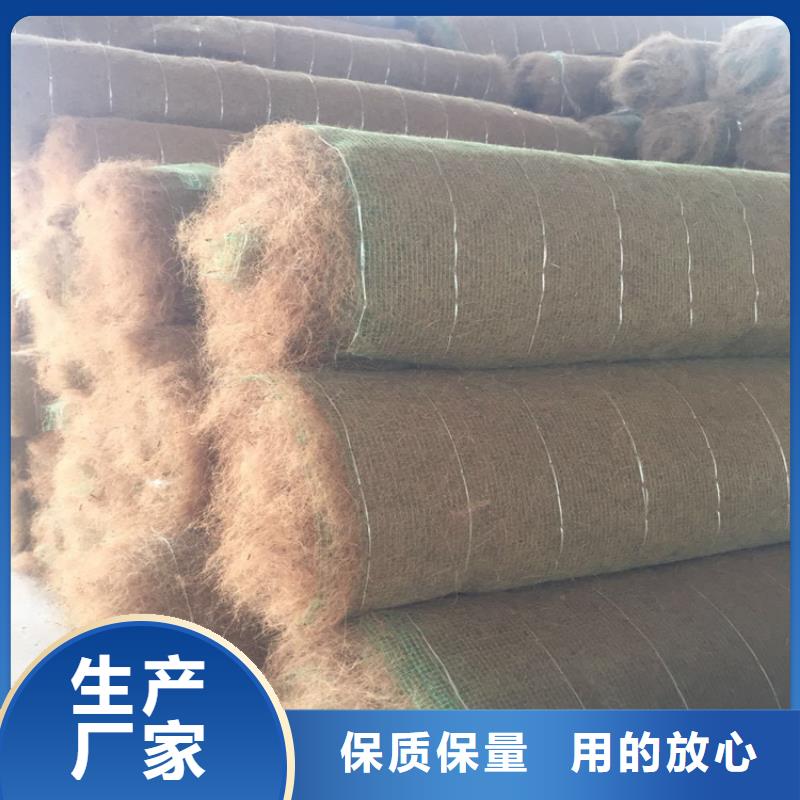 【海口】本土植生椰丝毯加筋抗冲生物毯